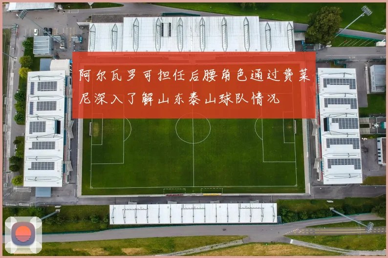 阿尔瓦罗可担任后腰角色通过费莱尼深入了解山东泰山球队情况