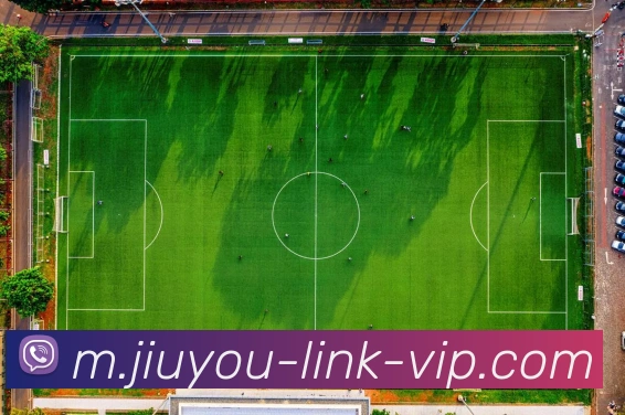 九游娱乐APP 封面图